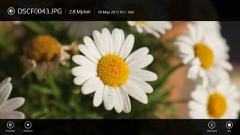 Picasa HD pour Windows 10