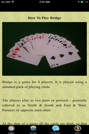 How To Play Bridge - Absolute Basics