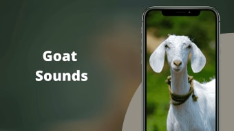 Goat Sounds