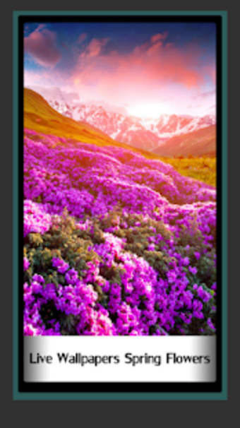 Live Wallpapers Spring Flowers