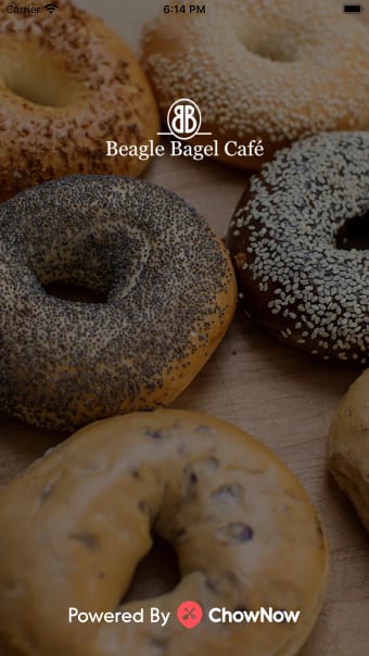 Beagle Bagel Cafe