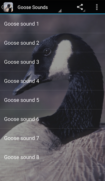 Goose Sounds