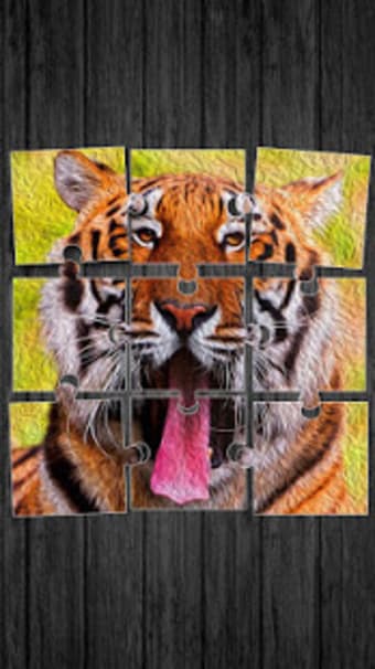 Tigers Jigsaw Puzzle Game