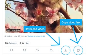 Twitter Video Downloader