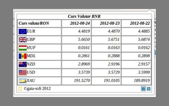 Curs Valutar BNR