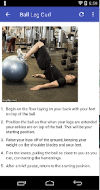 All Hamstrings Exercises