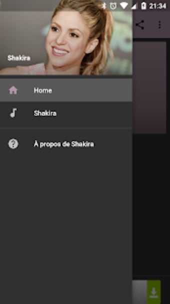 Shakira mp3 Offline Best Hits