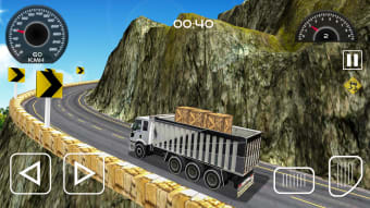 Twisty Truck Driver 3D
