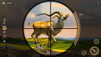 Deer Hunting Sniper Animal