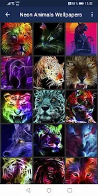 Neon Animals Wallpapers