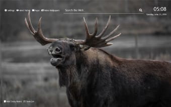 Moose Wallpaper HD New Tab Theme©