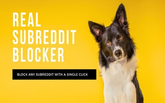 Real Subreddit Blocker