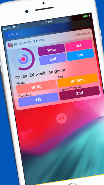 Pregnancy Tracker Your Journey