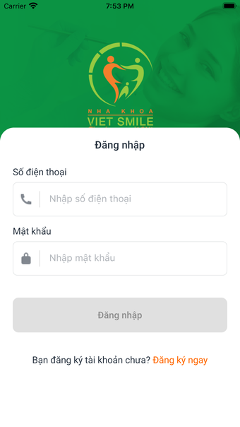 VIETSMILE DENTAL