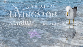 Jonathan Livingston Seagull 1