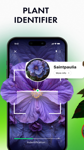 Plant Identifier: by Picture