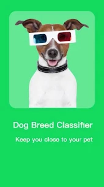 dog breed classifier