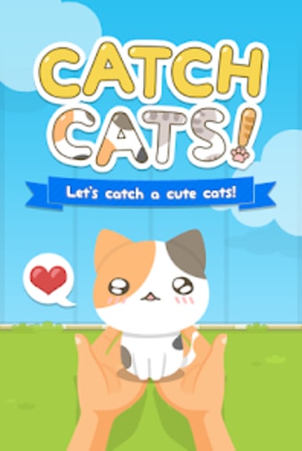 CATCH CATS Cute Kitty
