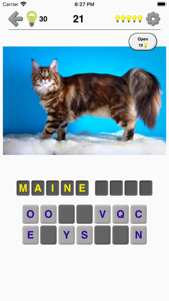 Cats: Photo-Quiz about Kittens
