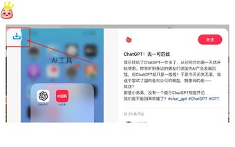 Xiaojinshu - Xiaohongshu material downloader (video, picture)