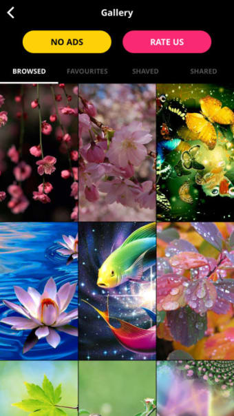 10000 Wallpapers  Themes