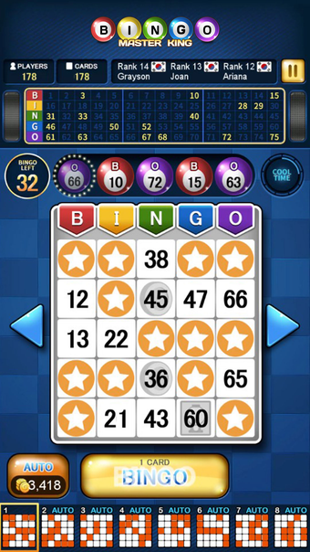 Bingo Master King