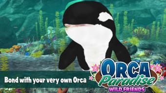 Orca Paradise: Wild Friends