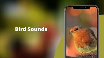 Bird Sounds - Nature Bird Call