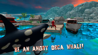Angry Killer Whale Orca Attack