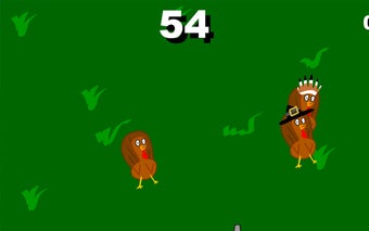 Turkey Shooter Game