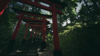 Explore Fushimi Inari