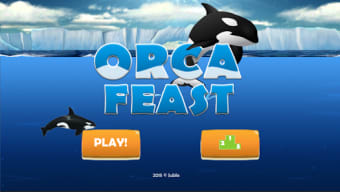 Orca Feast