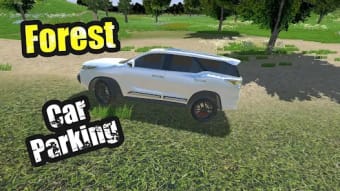 Real Car Parking 3D 2019