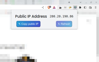 View your IP address