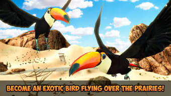 Toucan Simulator 3D: Bird Life
