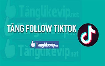 Tăng Follow Theo Dõi TikTok