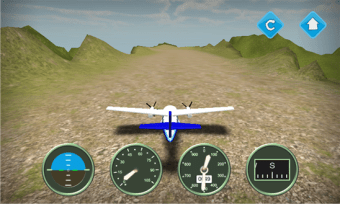 Flight Simulator N219