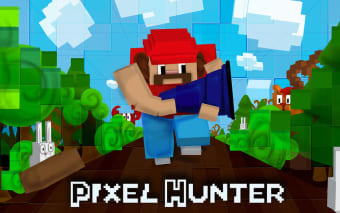 Pixel Hunter