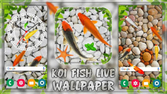 Fish Live wallpaper 2021  Aquarium Koi Background