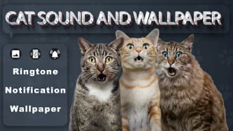 Cat Sounds wallpaperssms