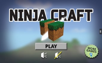 Ninja Craft Fun