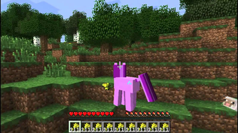 Pony for minecraft