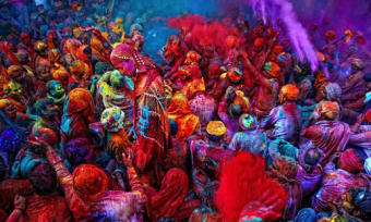 Holi The Color Day
