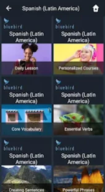 Learn Latin American Spanish.