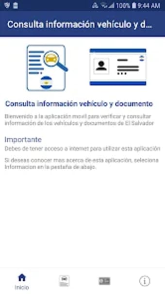 Consulta Información de Vehícu