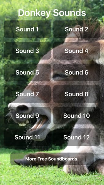 Donkey Sounds