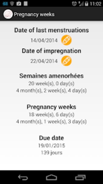 Pregnancy weeks
