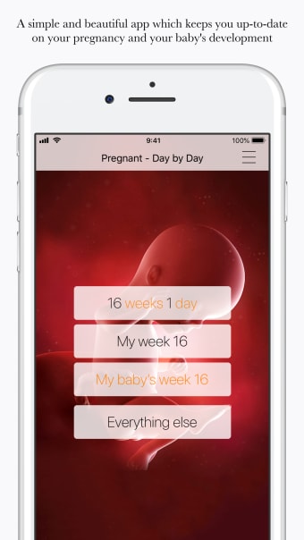 Your pregnancy - Day by Day