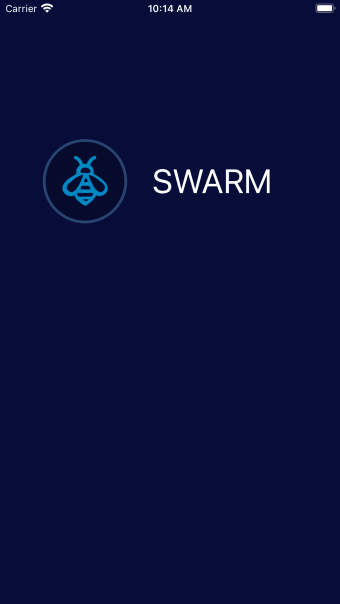 Swarm VPN