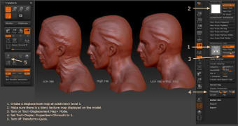 3D Zbrush Reference